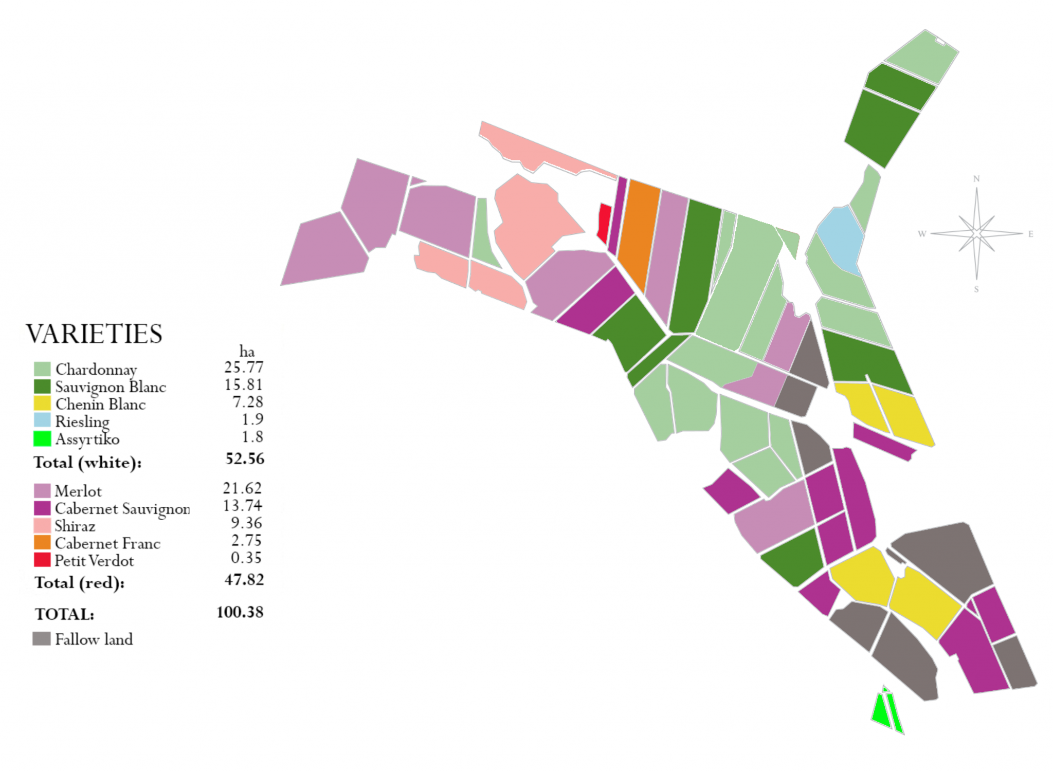 Best Wine Estate Cape Town Jordan Wines Vineyards